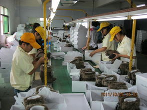 檢品工廠一站式服務(wù) 包裝、配送與家政支持一體解決方案