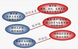 專業信息咨詢服務 您的決策智囊與業務加速器